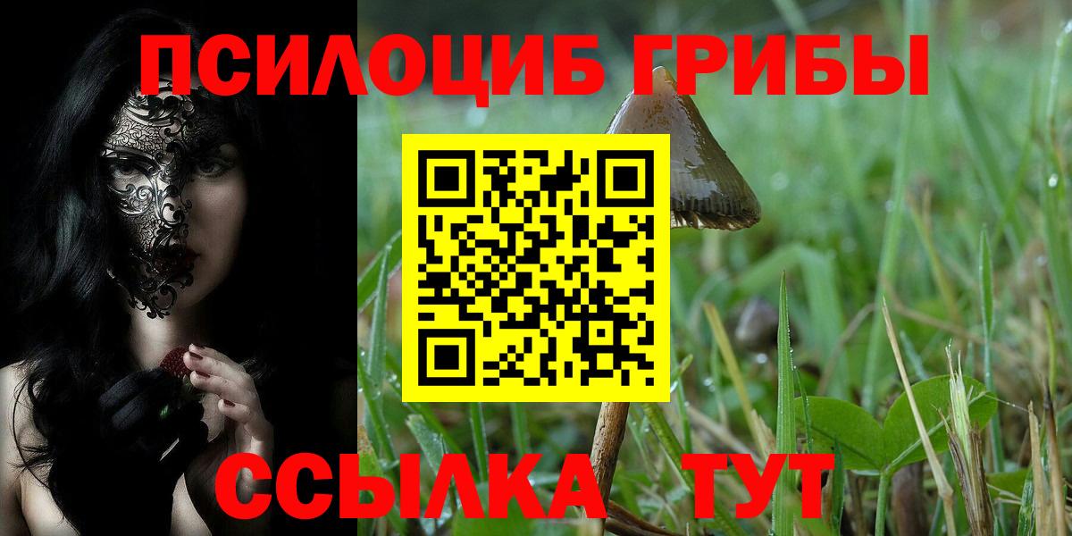 Галлюциногенные грибы Psilocybine cubensis Мичуринск