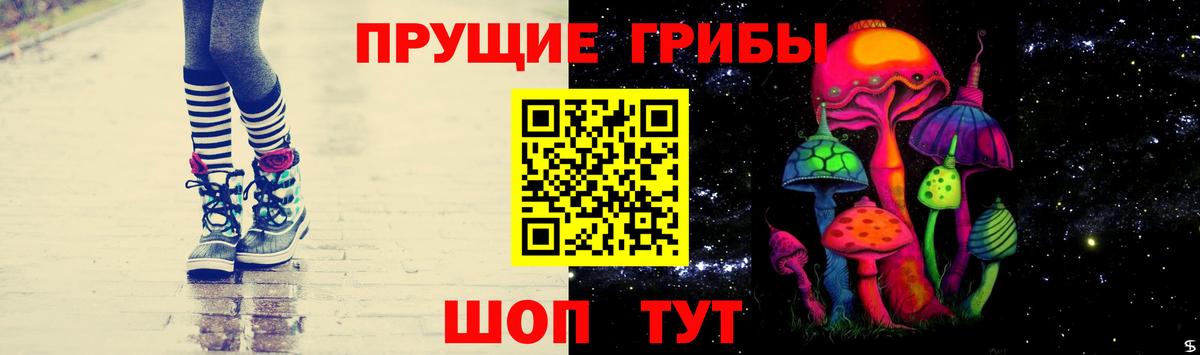Галлюциногенные грибы Magic Shrooms  Вход с VPN  Галлюциногенные грибы Magic Shrooms  Мичуринск 